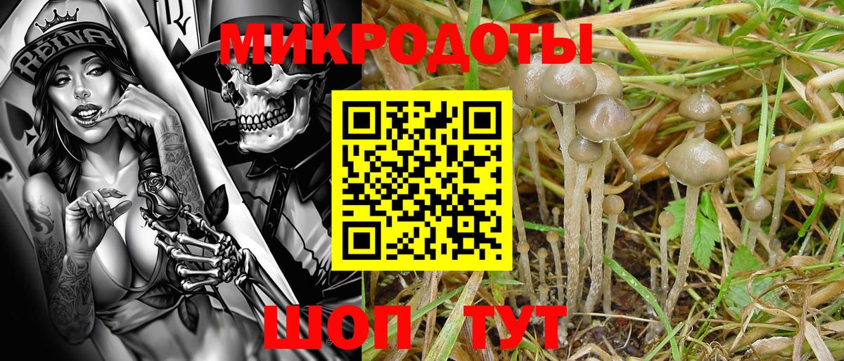 Псилоцибиновые грибы Magic Shrooms  Псилоцибиновые грибы GOLDEN TEACHER  Вход с VPN  Томск 
